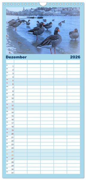 Produktbild: Familienplaner 2026 - Luzern, die Stadt im Zentrum der Schweiz mit 5 Spalten (Wandkalender, 21 x 45 cm) CALVENDO
