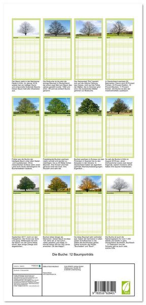 Produktbild: Familienplaner 2026 - Die Buche: 12 Baumportr&auml;ts mit 5 Spalten (Wandkalender, 21 x 45 cm) CALVENDO
