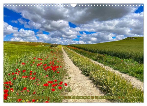 Produktbild: Augenblicke der Ruhe (Wandkalender 2026 DIN A3 quer), CALVENDO Monatskalender