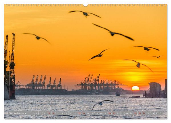 Produktbild: HAMBURG - Maritime Metropole (Wandkalender 2026 DIN A2 quer), CALVENDO Monatskalender