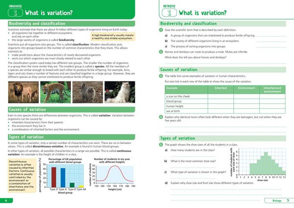 Produktbild: KS3 Science Year 9: Organise and retrieve your knowledge