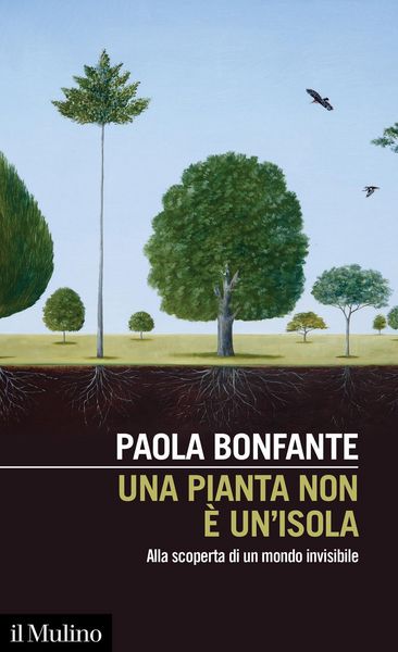 Produktbild: Una pianta non &egrave; un'isola. Alla scoperta di un mondo invisibile