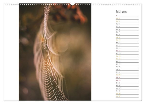 Produktbild: Kleine Wunder vor der Haust&uuml;r (Wandkalender 2026 DIN A2 quer), CALVENDO Monatskalender