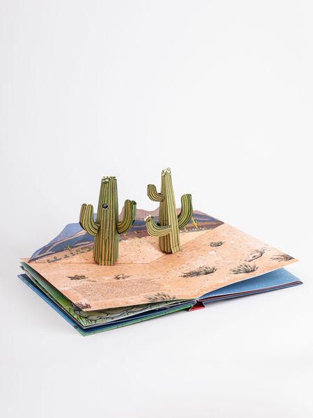 Produktbild: Das Wetter. Pop-up-Buch