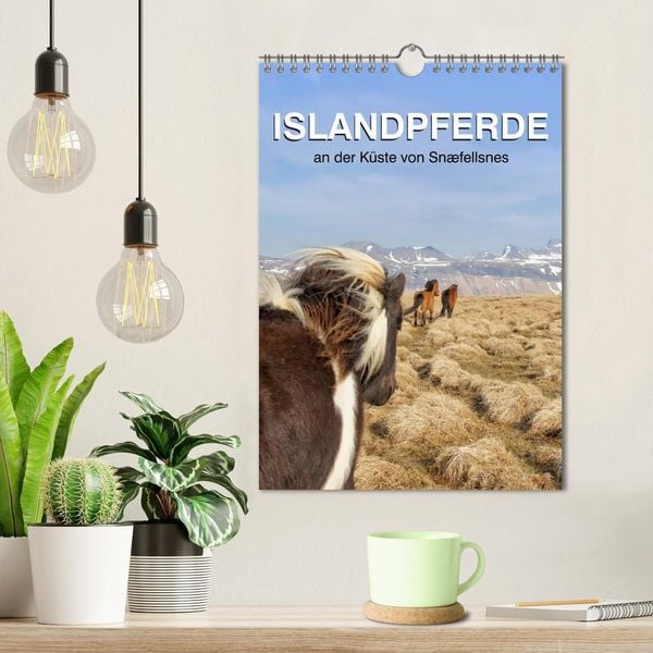 Produktbild: ISLANDPFERDE an der K&uuml;ste von Sn&aelig;fellsnes (Wandkalender 2026 DIN A4 hoch), CALVENDO Monatskalender