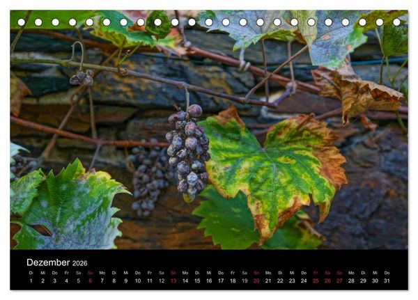 Produktbild: Sch&ouml;ne Mosel (Tischkalender 2026 DIN A5 quer), CALVENDO Monatskalender