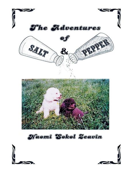 Produktbild: The Adventures of Salt & Pepper