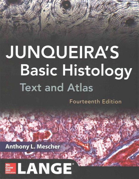 Produktbild: Mescher: Junqueira's Basic Histology: Text and Atlas