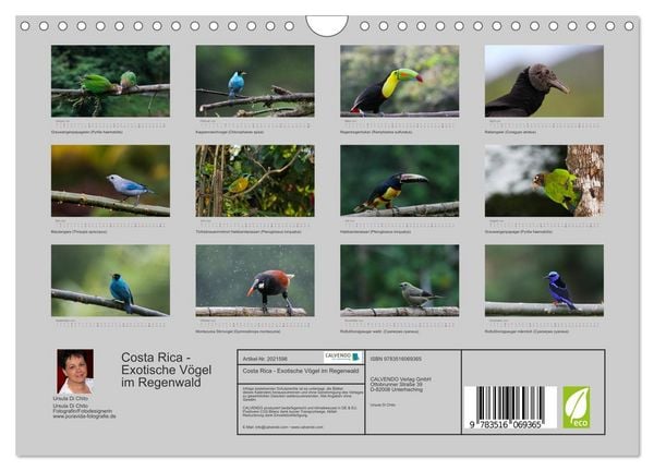 Produktbild: Costa Rica - Exotische V&ouml;gel im Regenwald (Wandkalender 2026 DIN A4 quer), CALVENDO Monatskalender