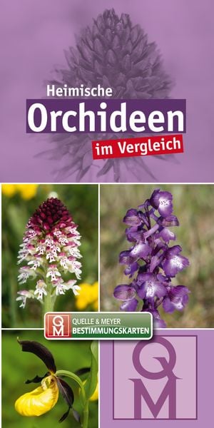 Produktbild: Heimische Orchideen