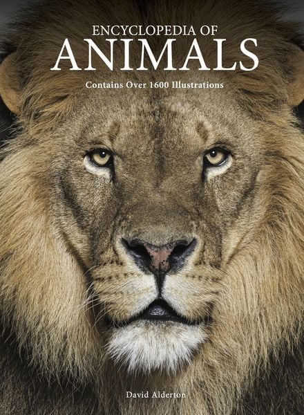 Produktbild: Encyclopedia of Animals