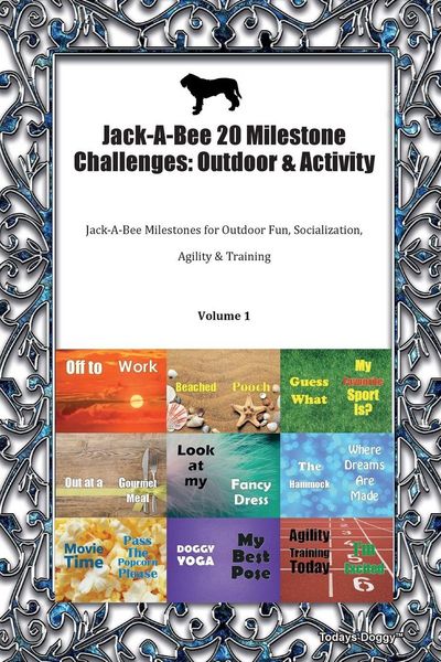 Produktbild: Jack-A-Bee 20 Milestone Challenges