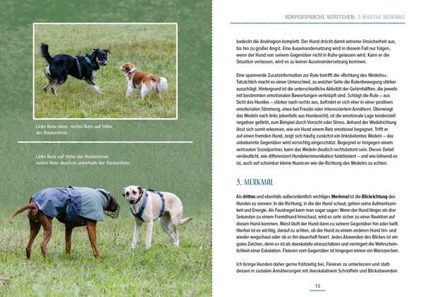 Produktbild: Das Hundesprachbuch