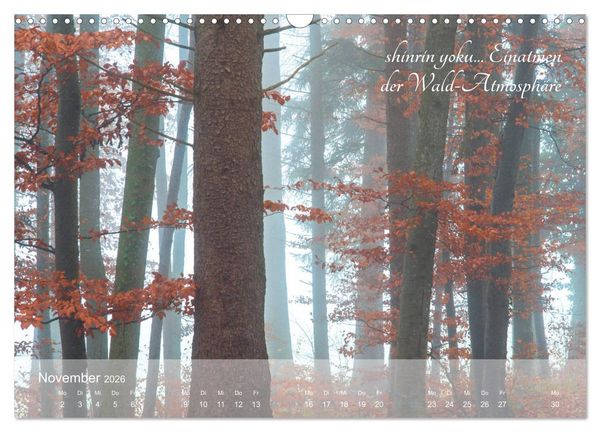 Produktbild: Shinrin yoku - Waldbaden 2026 (Wandkalender 2026 DIN A3 quer), CALVENDO Monatskalender