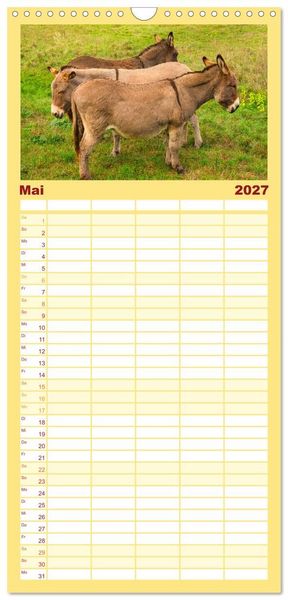 Produktbild: Familienplaner 2027 - Liebenswerte Esel mit 5 Spalten (Wandkalender, 21 x 45 cm) CALVENDO
