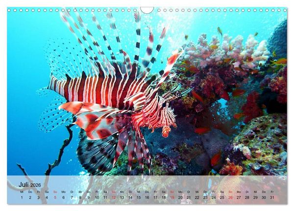 Produktbild: In der Meerestiefe. Fische und Korallen im ewigen Blau (Wandkalender 2026 DIN A3 quer), CALVENDO Monatskalender