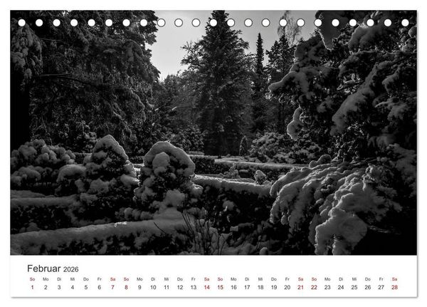 Produktbild: Wachgek&uuml;sst - Vom Zauber der Vergangenheit - S&uuml;dwestkirchhof Stahnsdorf (Tischkalender 2026 DIN A5 quer), CALVENDO Monatskalender