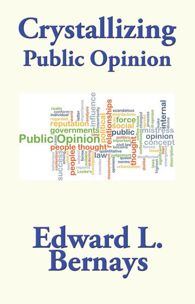 Produktbild: Crystallizing Public Opinion