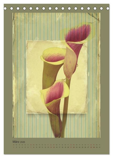Produktbild: Vintage Style (Tischkalender 2026 DIN A5 hoch), CALVENDO Monatskalender
