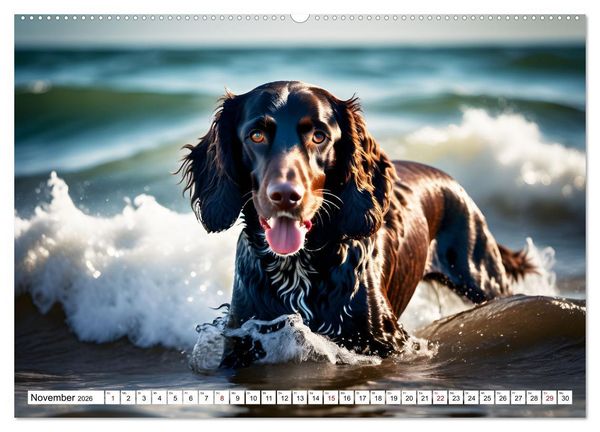 Produktbild: Begeisterte Wasserratten (hochwertiger Premium Wandkalender 2026 DIN A2 quer), Kunstdruck in Hochglanz