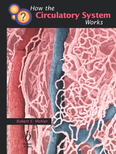 Produktbild: How the Circulatory System Works