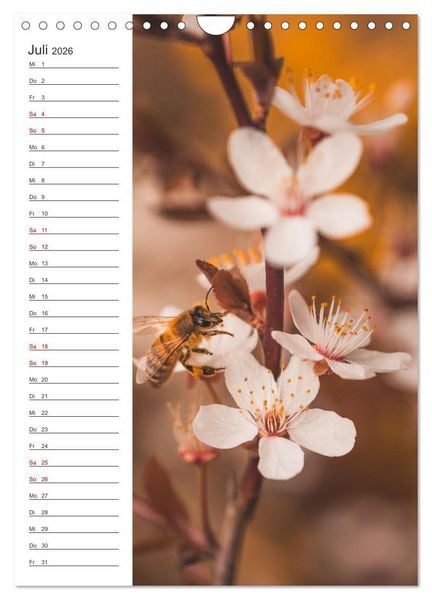 Produktbild: Naturheilmittel Honig - Kalender & Terminplaner (Wandkalender 2026 DIN A4 hoch), CALVENDO Monatskalender