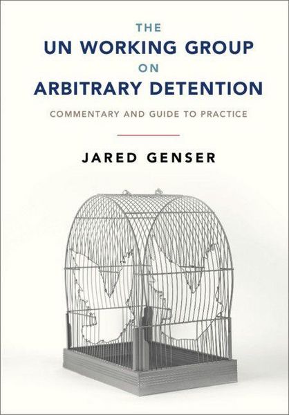 Produktbild: The UN Working Group on Arbitrary Detention