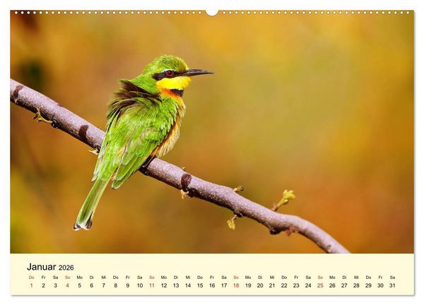 Produktbild: Traumhaftes Malawi (hochwertiger Premium Wandkalender 2026 DIN A2 quer), Kunstdruck in Hochglanz