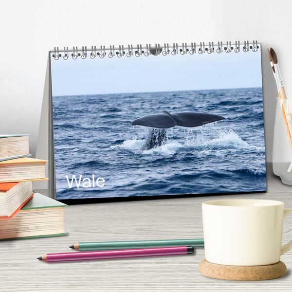 Produktbild: Wale (Tischkalender 2026 DIN A5 quer), CALVENDO Monatskalender