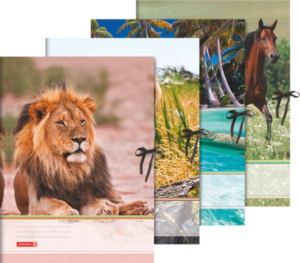 Produktbild: Brunnen Sammelmappe A3 Tiere Band