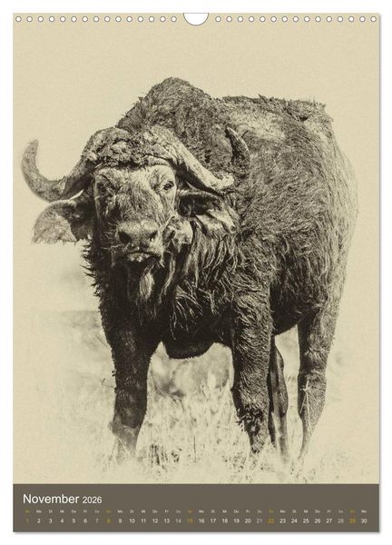 Produktbild: Afrikas Tierwelt - Sepia-Art (Wandkalender 2026 DIN A3 hoch), CALVENDO Monatskalender
