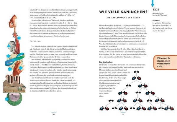Produktbild: Fibonaccis Kaninchen