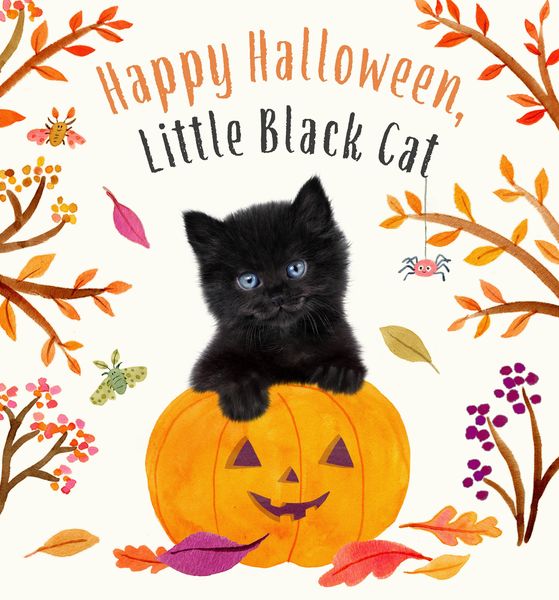 Produktbild: Happy Halloween, Little Black Cat