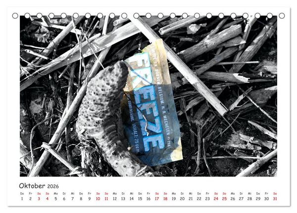 Produktbild: Gestrandet -Treibgut- (Tischkalender 2026 DIN A5 quer), CALVENDO Monatskalender