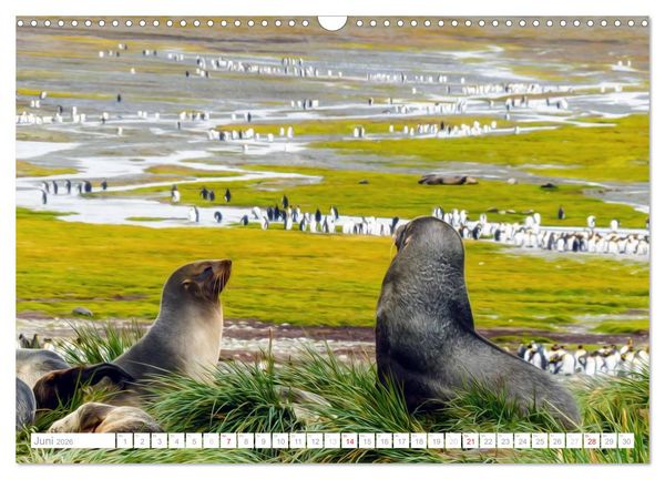 Produktbild: Antarktis - Das Reich der Pinguine (Wandkalender 2026 DIN A3 quer), CALVENDO Monatskalender