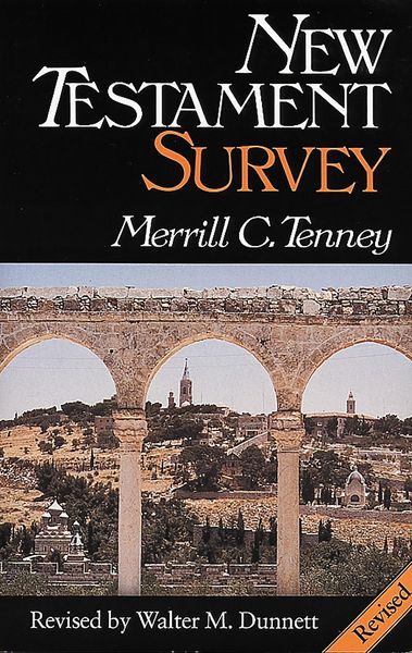 Produktbild: New Testament Survey