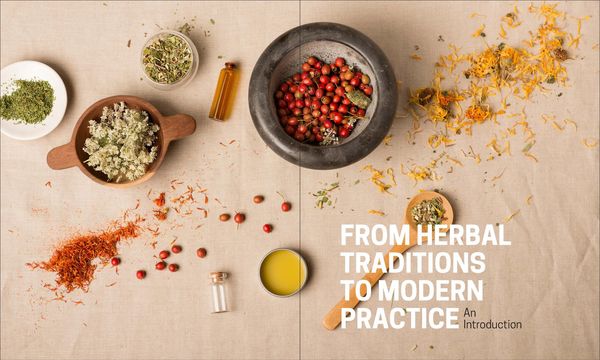 Produktbild: The Herbal Apothecary
