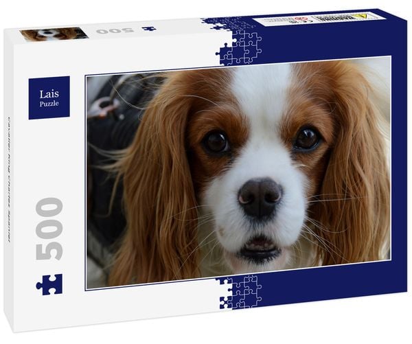 Lais Puzzle Cavalier King Charles Spaniel 500 Teile