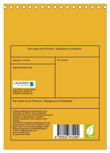 Produktbild: Das Leben ist ein Ponyhof - Zwergponys im Studiolicht (Tischkalender 2026 DIN A5 hoch), CALVENDO Monatskalender