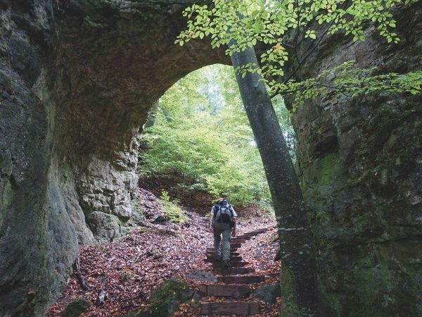 Produktbild: Zeit zum Wandern Altm&uuml;hltal und Fr&auml;nkisches Seenland