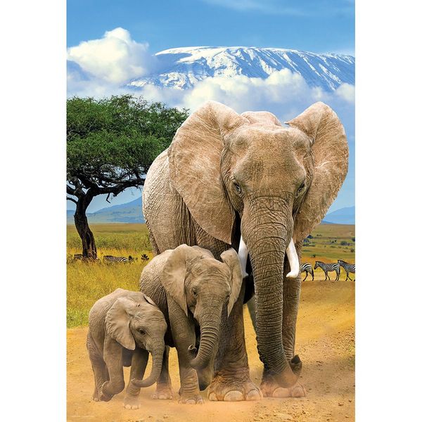 Produktbild: Kinder Puzzle 250 Teile - Elephants
