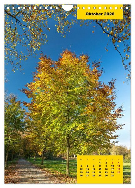 Produktbild: Stille Riesen (Wandkalender 2026 DIN A4 hoch), CALVENDO Monatskalender