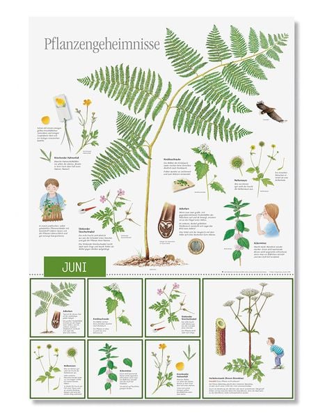 Produktbild: Natur erleben durch das Jahr - 2