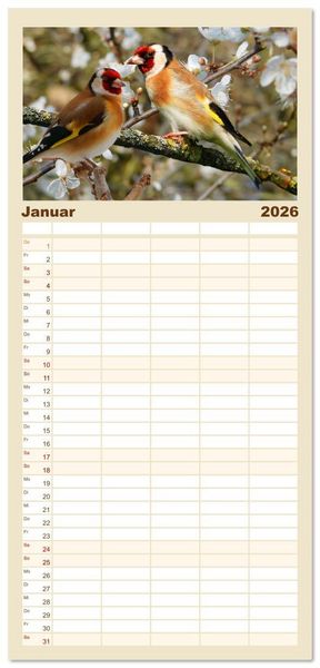 Produktbild: Familienplaner 2026 - Deutschlands Finken mit 5 Spalten (Wandkalender, 21 x 45 cm) CALVENDO