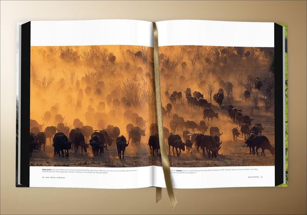 Produktbild: Die Seele Afrikas