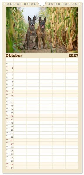 Produktbild: Familienplaner 2027 - Mit dem Malinois durch das Jahr mit 5 Spalten (Wandkalender, 21 x 45 cm) CALVENDO