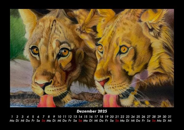 Produktbild: L&ouml;wen in der Wildnis 2025 Fotokalender DIN A3