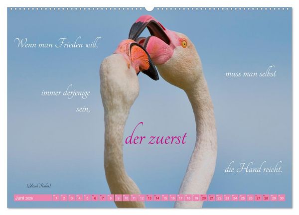 Produktbild: The Power Of Pink (hochwertiger Premium Wandkalender 2026 DIN A2 quer), Kunstdruck in Hochglanz