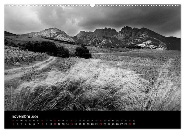 Produktbild: VIGNES DU SUD terroirs d'AOC (Calendrier mural 2026 DIN A2 vertical) calendrier de bureau