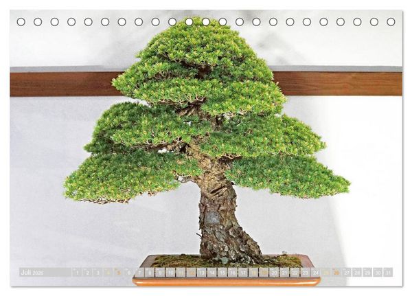 Produktbild: Gartenkunst aus Japan: Bonsai (Tischkalender 2026 DIN A5 quer), CALVENDO Monatskalender